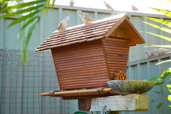 Wooden bird feeder